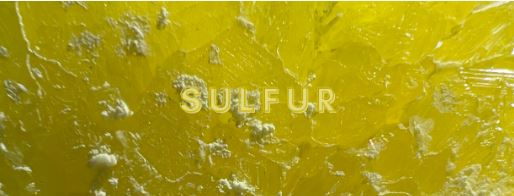 Sparkle Style Co. yellow sulfur crystal leggings at Hell's Gate geothermal park in Rotorua, New Zealand, known for its therapeutic sulfur spa and thermal activity including boiling mud pools, hot springs, and geysers.