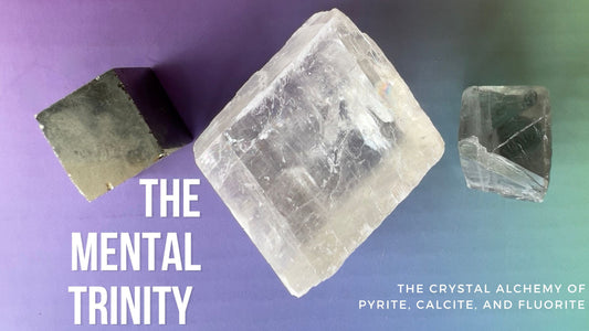 Supercharging Kids’ Learning Journeys with the Mental Trinity