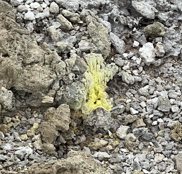 Sulfur forming at Hell's Gate, New Zealand